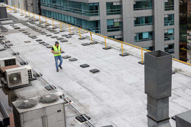Best Roof Insulation Installation  in Rosedale, CA