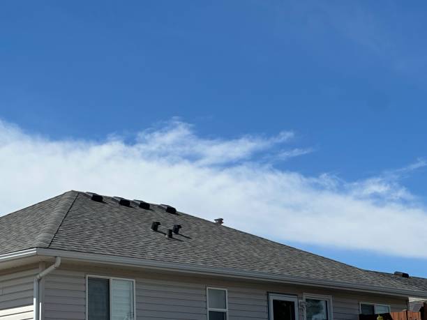 Best Rubber Roofing (EPDM, TPO)  in Rosedale, CA